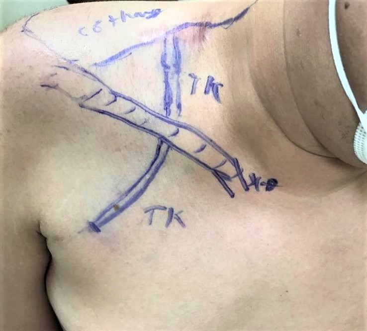 CÔNG TY TNHH Y TẾ HÀ ĐÔ - HADO MEDICAL
