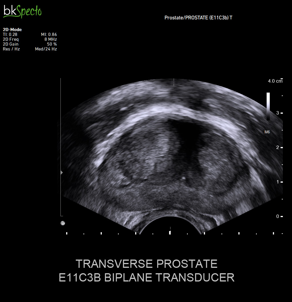 CÔNG TY TNHH Y TẾ HÀ ĐÔ - HADO MEDICAL