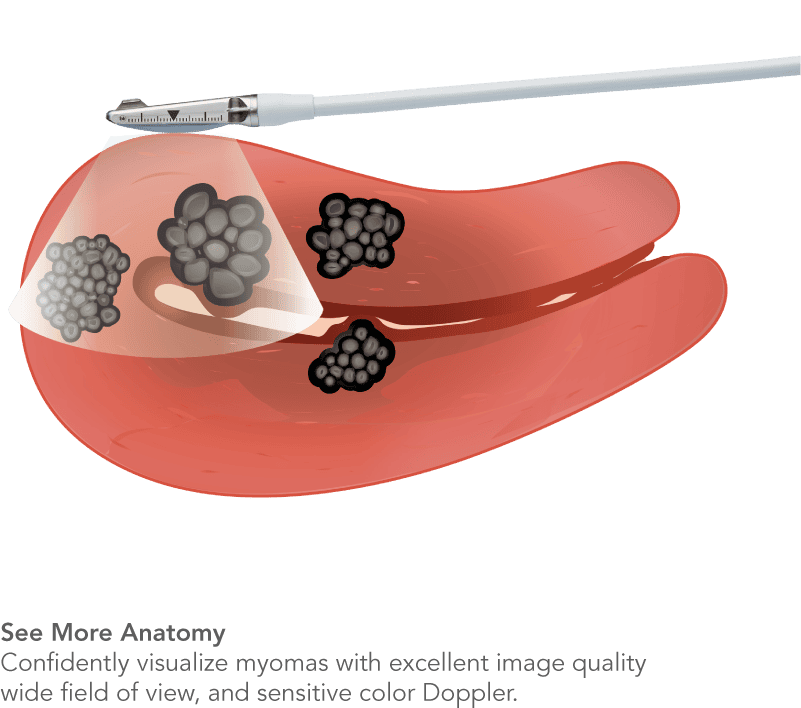 CÔNG TY TNHH Y TẾ HÀ ĐÔ - HADO MEDICAL