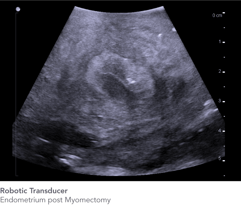 CÔNG TY TNHH Y TẾ HÀ ĐÔ - HADO MEDICAL