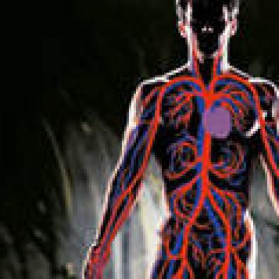 Dụng cụ nội soi vi phẫu mạch máu